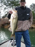 image hogs 001.JPG